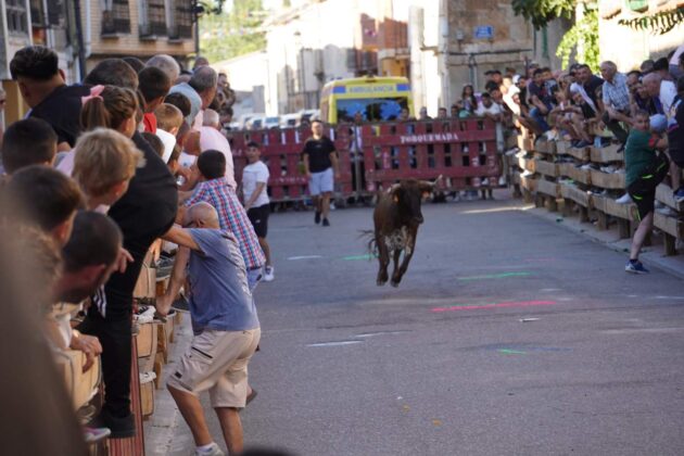 Encierros tradicionales en Torquemada - Agosto 2024