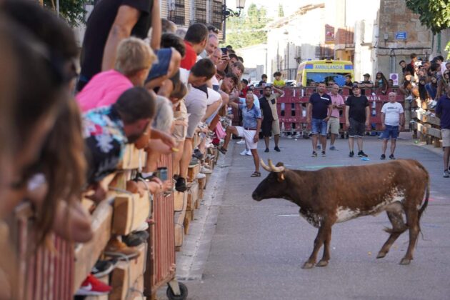 Encierros tradicionales en Torquemada - Agosto 2024