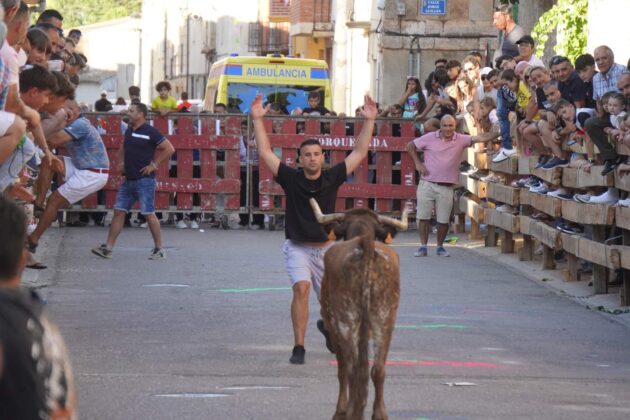 Encierros tradicionales en Torquemada - Agosto 2024