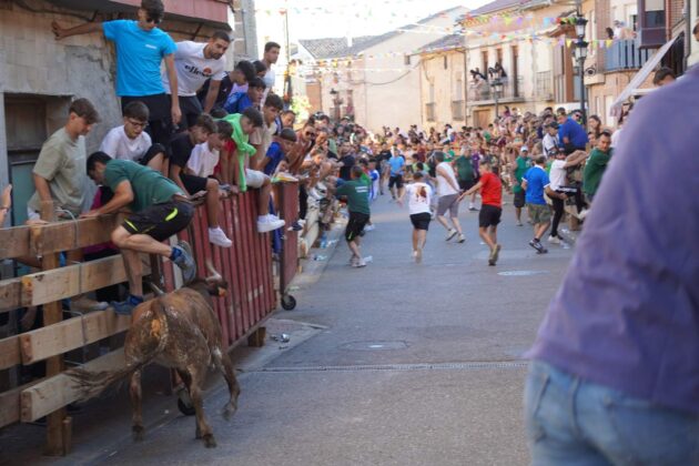 Encierros tradicionales en Torquemada - Agosto 2024