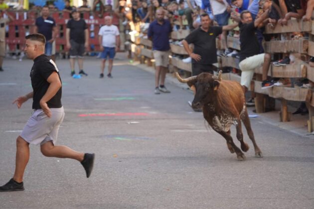 Encierros tradicionales en Torquemada - Agosto 2024