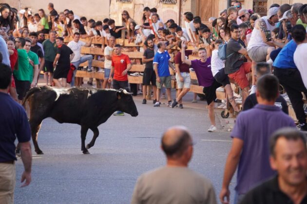 Encierros tradicionales en Torquemada - Agosto 2024