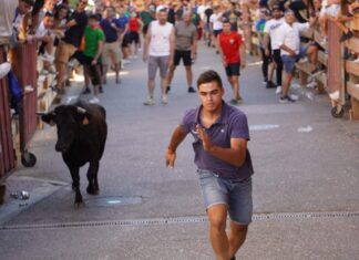 Encierros tradicionales en Torquemada - Agosto 2024