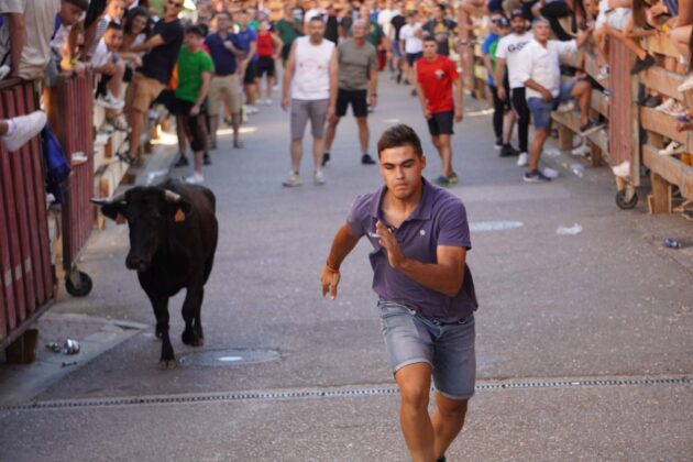 Encierros tradicionales en Torquemada - Agosto 2024