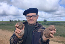 El director de la Cátedral de Micología de la UVa en el campus de Palencia, José Andrés Oria de Rueda, con unos ejemplares de turmas o trufas del desierto oplus_0