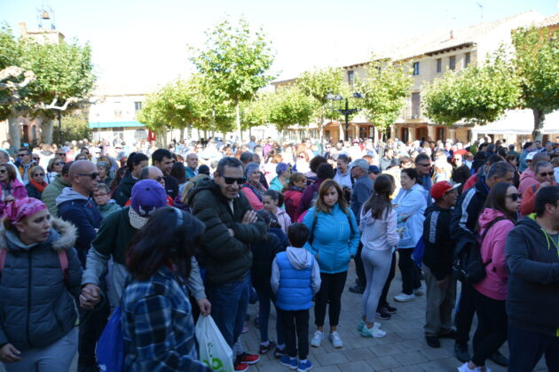 Más de 600 personas participan en la XV Marcha Inclusiva del Grupo Fundación San Cebrián