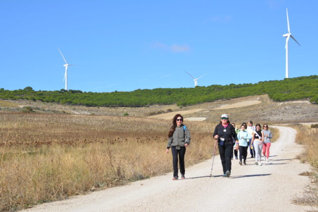 Más de 600 personas participan en la XV Marcha Inclusiva del Grupo Fundación San Cebrián