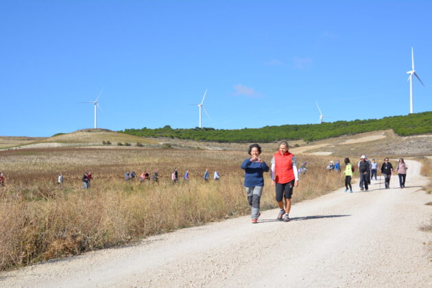 Más de 600 personas participan en la XV Marcha Inclusiva del Grupo Fundación San Cebrián