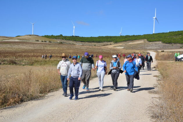 Más de 600 personas participan en la XV Marcha Inclusiva del Grupo Fundación San Cebrián