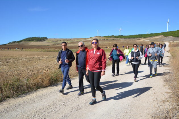 Más de 600 personas participan en la XV Marcha Inclusiva del Grupo Fundación San Cebrián