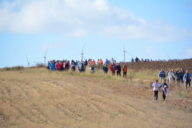 Más de 600 personas participan en la XV Marcha Inclusiva del Grupo Fundación San Cebrián