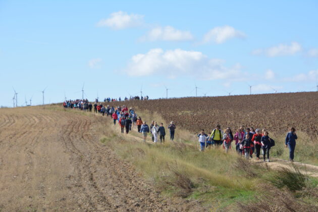 Más de 600 personas participan en la XV Marcha Inclusiva del Grupo Fundación San Cebrián