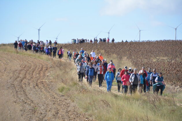 Más de 600 personas participan en la XV Marcha Inclusiva del Grupo Fundación San Cebrián