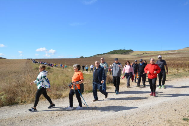 Más de 600 personas participan en la XV Marcha Inclusiva del Grupo Fundación San Cebrián