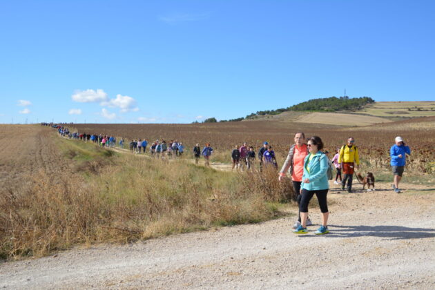 Más de 600 personas participan en la XV Marcha Inclusiva del Grupo Fundación San Cebrián