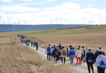 Más de 600 personas participan en la XV Marcha Inclusiva del Grupo Fundación San Cebrián