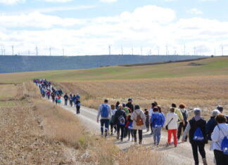 Más de 600 personas participan en la XV Marcha Inclusiva del Grupo Fundación San Cebrián