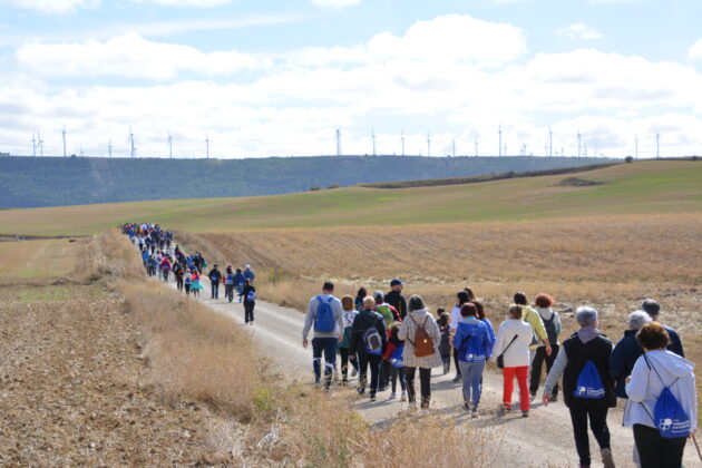 Más de 600 personas participan en la XV Marcha Inclusiva del Grupo Fundación San Cebrián