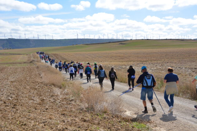 Más de 600 personas participan en la XV Marcha Inclusiva del Grupo Fundación San Cebrián