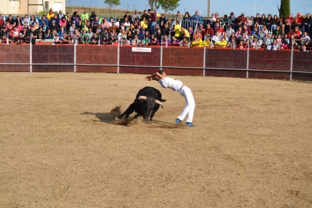 FIESTAS DE ASTUDILLO 2024 - Festejos taurinos. Concurso de cortes. Marisa Franco.