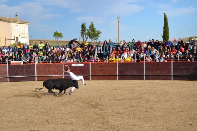 FIESTAS DE ASTUDILLO 2024 - Festejos taurinos. Concurso de cortes. Marisa Franco.