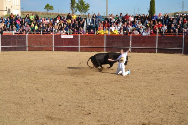 FIESTAS DE ASTUDILLO 2024 - Festejos taurinos. Concurso de cortes. Marisa Franco.