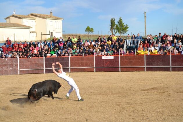 FIESTAS DE ASTUDILLO 2024 - Festejos taurinos. Concurso de cortes. Marisa Franco.