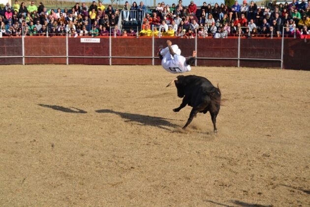 FIESTAS DE ASTUDILLO 2024 - Festejos taurinos. Concurso de cortes. Marisa Franco.