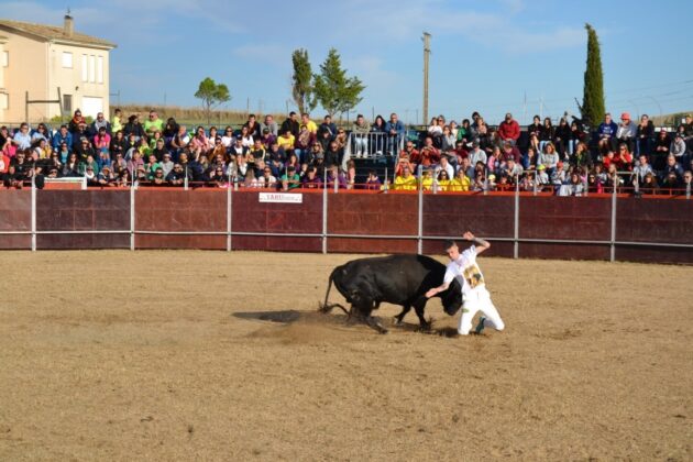 FIESTAS DE ASTUDILLO 2024 - Festejos taurinos. Concurso de cortes. Marisa Franco.