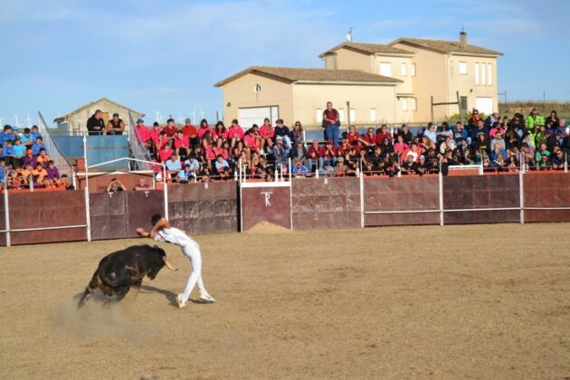 FIESTAS DE ASTUDILLO 2024 - Festejos taurinos. Concurso de cortes. Marisa Franco.