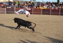 FIESTAS DE ASTUDILLO 2024 - Festejos taurinos. Concurso de cortes. Marisa Franco.