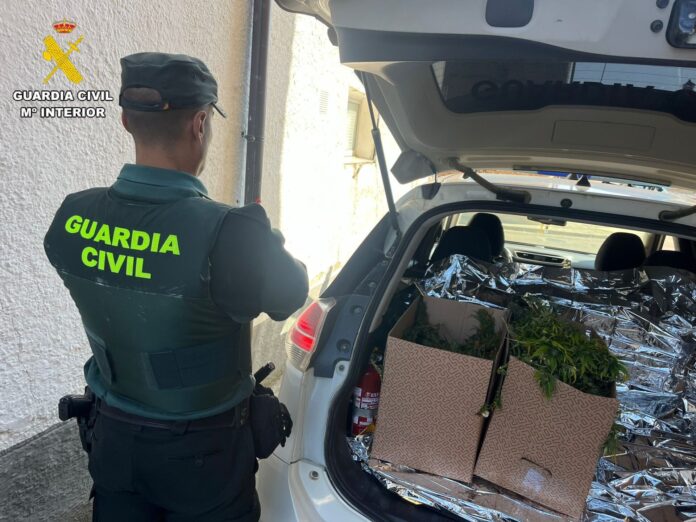 Imagen de la Guardia Civil de Palencia