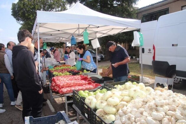 Feria del Pimiento de Torquemada