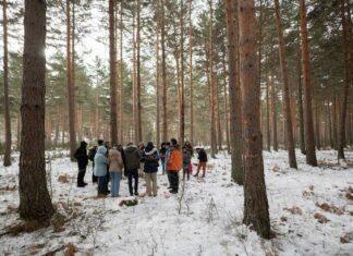 WINTER SCHOOL MEDFOR - IUFOR - FORESTALES PALENCIA 2024