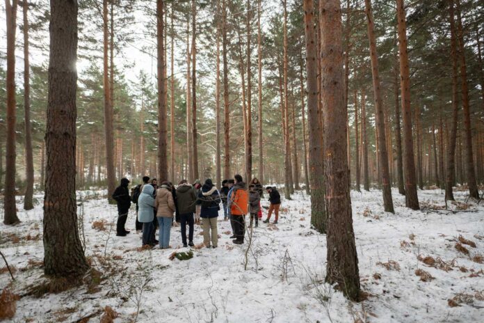 WINTER SCHOOL MEDFOR - IUFOR - FORESTALES PALENCIA 2024