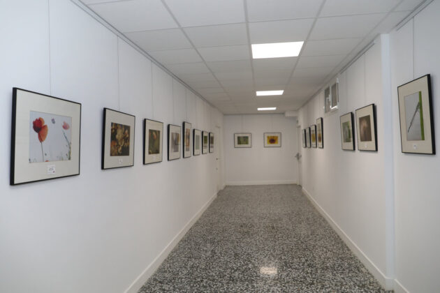 Brágimo - Zona dedicada a exposiciones en la sede de la AECC en Palencia