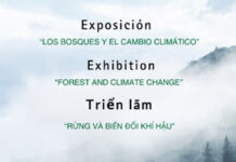 Exposición “Los Bosques y el cambio climático” en Vietnam