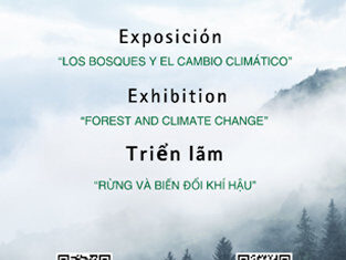 Exposición “Los Bosques y el cambio climático” en Vietnam