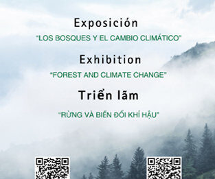 Exposición “Los Bosques y el cambio climático” en Vietnam