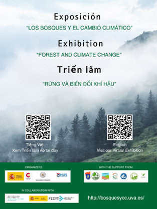 Exposición “Los Bosques y el cambio climático” en Vietnam