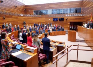 Pleno de las Cortes de Castilla y León