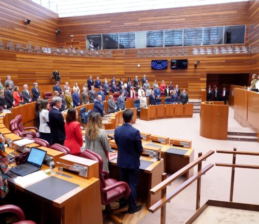 Pleno de las Cortes de Castilla y León