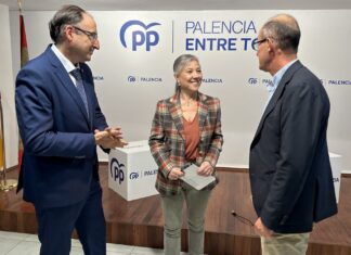 PP senadores vivienda palencia