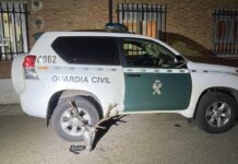 sucesos en Palencia, guardia civil, cabeza venado