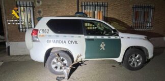 sucesos en Palencia, guardia civil, cabeza venado