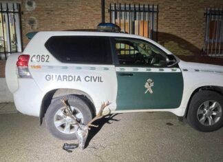 sucesos en Palencia, guardia civil, cabeza venado