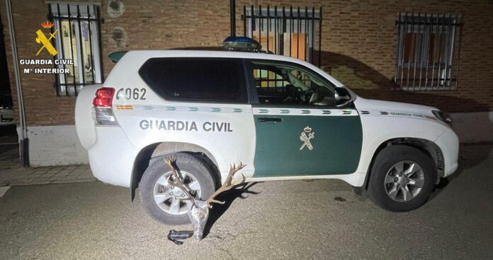 sucesos en Palencia, guardia civil, cabeza venado