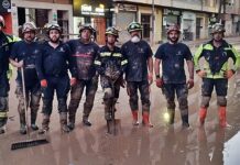 Bomberos Palencia en Valencia