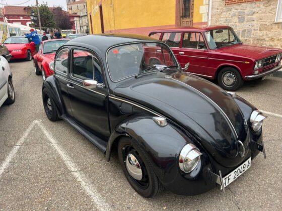 CONCENTRACIÓN DE COCHES CLÁSICOS EN CEVICO DE LA TORRE 2024