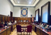 Pleno Diputación de Palencia Día Internacional de la Eliminación de la Violencia contra la Mujer